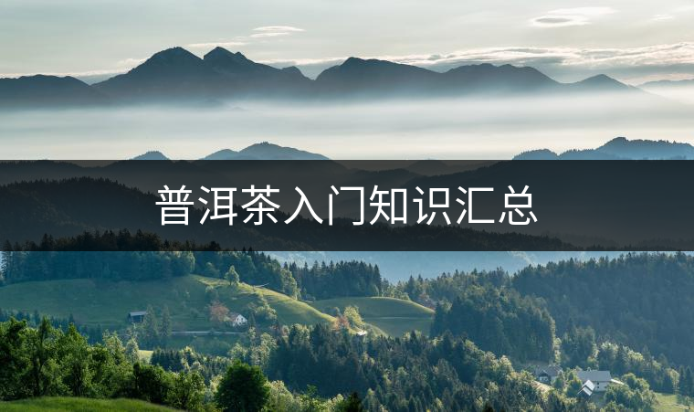 普洱茶入門(mén)知識(shí)匯總 普洱茶入門(mén)知識(shí)匯總
