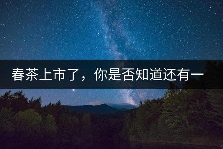 春茶上市了,你是否知道還有一個比樹齡更加重要的好茶必備要素? 春茶上市了,你是否知道還有一個比樹齡更加重要的好茶必備要素?