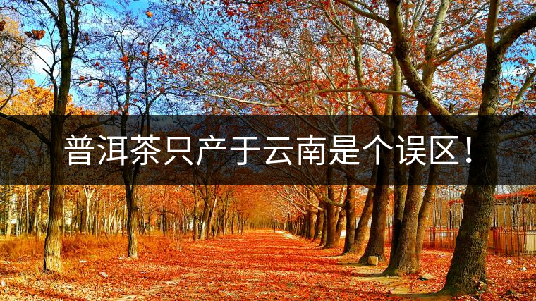 普洱茶只產(chǎn)于云南是個(gè)誤區(qū)！
