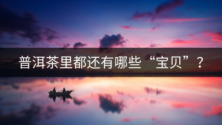 普洱茶里都還有哪些“寶貝”? 普洱茶里都還有哪些“寶貝”?
