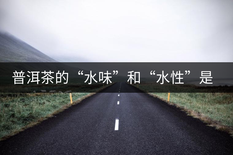 普洱茶的“水味”和“水性”是一種東西還是兩種東西？