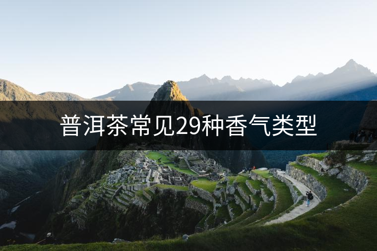 普洱茶常見(jiàn)29種香氣類型