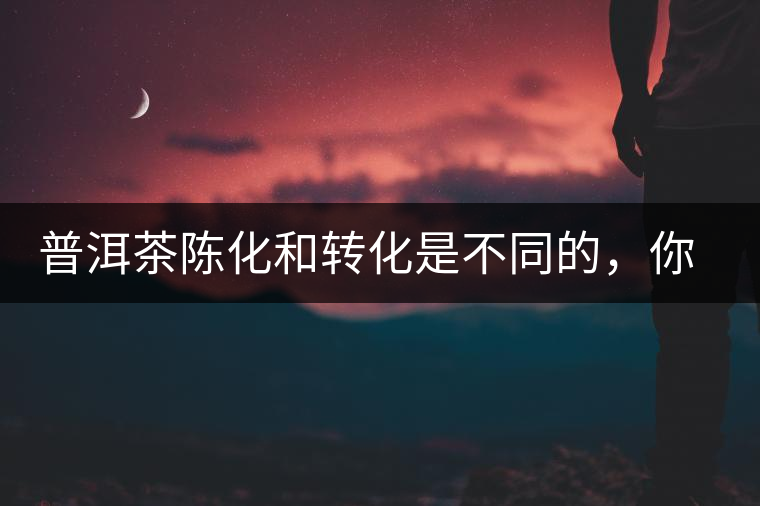 普洱茶陳化和轉(zhuǎn)化是不同的，你造嗎？
