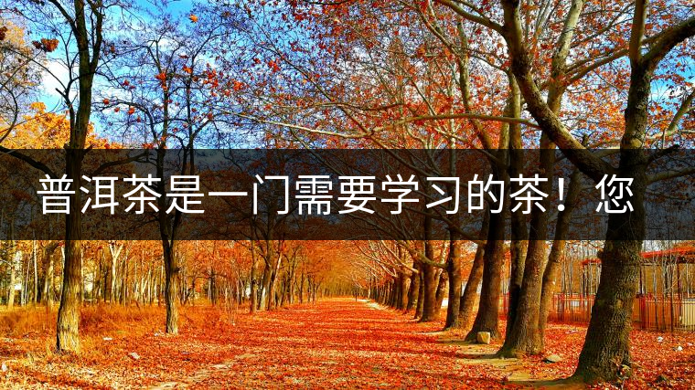 普洱茶是一門(mén)需要學(xué)習(xí)的茶！您學(xué)到了多少？看看專(zhuān)家怎么說(shuō)