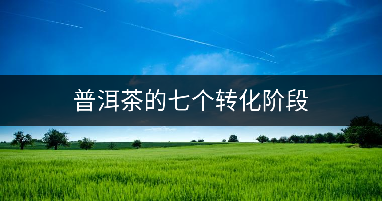 普洱茶的七個轉(zhuǎn)化階段