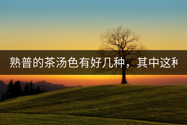 熟普的茶湯色有好幾種，其中這種不建議喝！