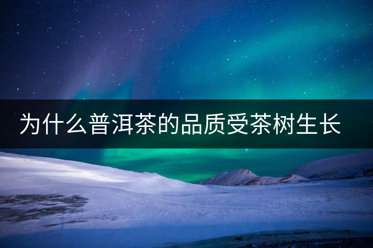 為什么普洱茶的品質(zhì)受茶樹(shù)生長(zhǎng)環(huán)境的影響？