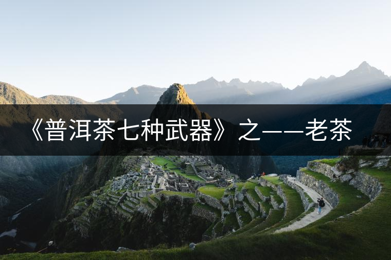 《普洱茶七種武器》之——老茶頭 《普洱茶七種武器》之——老茶頭