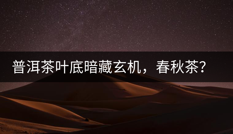 普洱茶葉底暗藏玄機，春秋茶？大樹茶？野生茶？班章料？你讀懂了嗎？