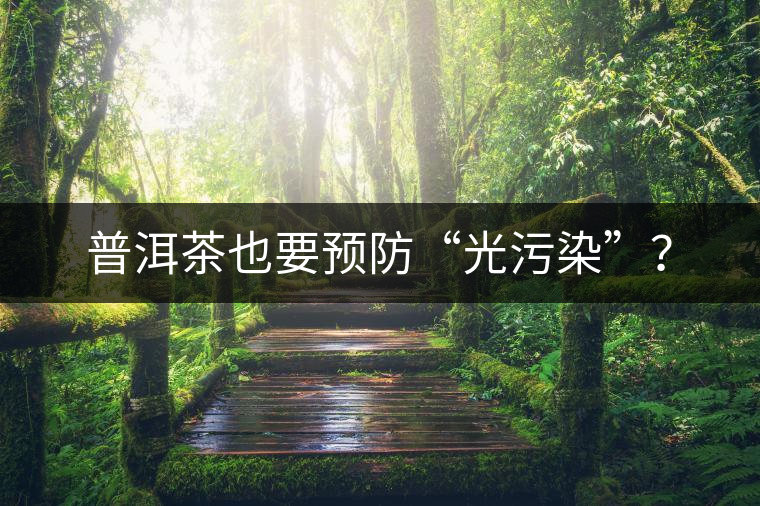 普洱茶也要預防“光污染”？