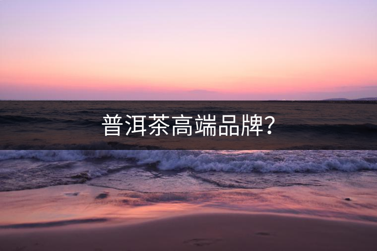 普洱茶高端品牌？