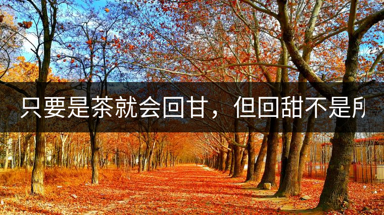 只要是茶就會回甘，但回甜不是所有茶都有！