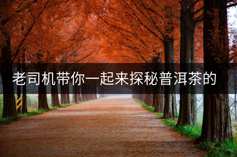 老司機帶你一起來探秘普洱茶的葉底 老司機帶你一起來探秘普洱茶的葉底