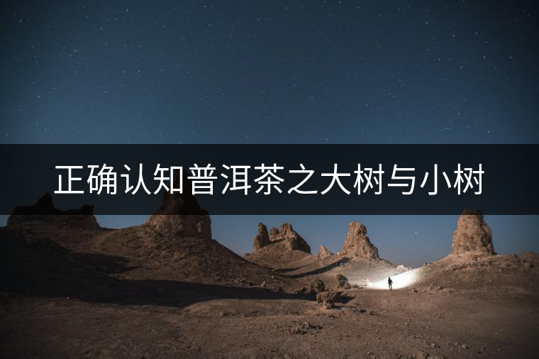 正確認知普洱茶之大樹與小樹