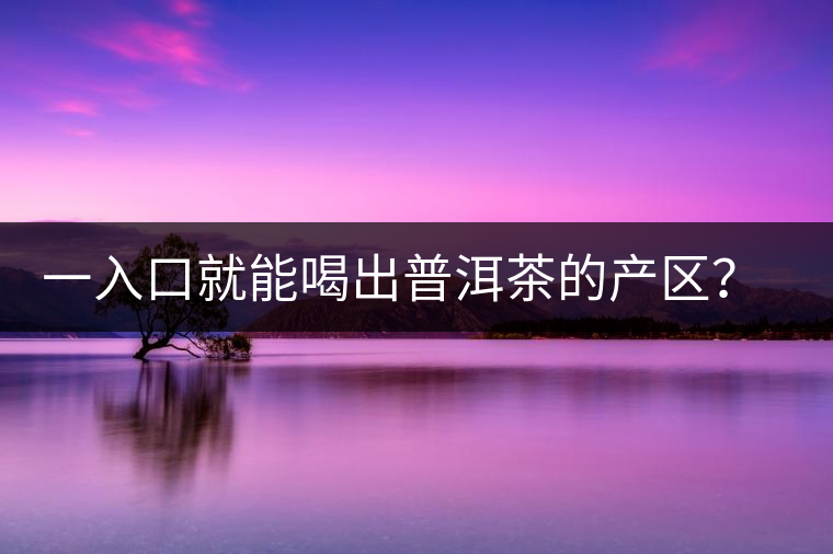 一入口就能喝出普洱茶的產(chǎn)區(qū)？怎么能不讀這篇文章呢？