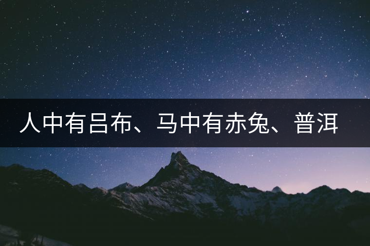 人中有呂布、馬中有赤兔、普洱中有茶化石：碎銀子！