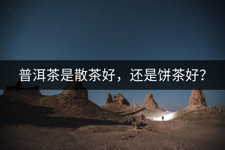 普洱茶是散茶好，還是餅茶好？