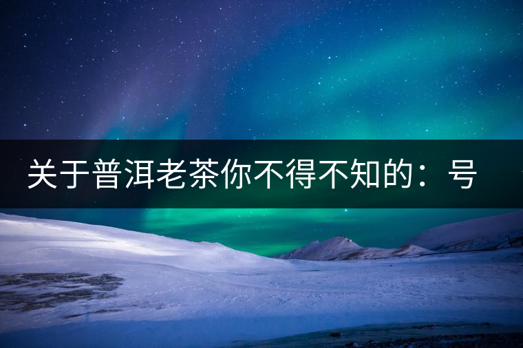 關于普洱老茶你不得不知的：號級茶、印級茶、七子餅茶