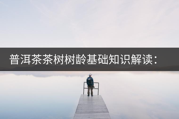 普洱茶茶樹(shù)樹(shù)齡基礎(chǔ)知識(shí)解讀：多大樹(shù)齡的茶才算古樹(shù)茶？