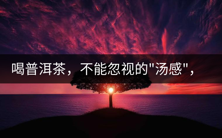 喝普洱茶，不能忽視的