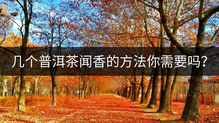 幾個(gè)普洱茶聞香的方法你需要嗎？