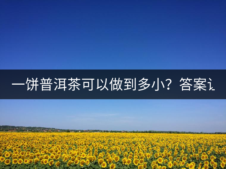 一餅普洱茶可以做到多??？答案讓人意想不到...