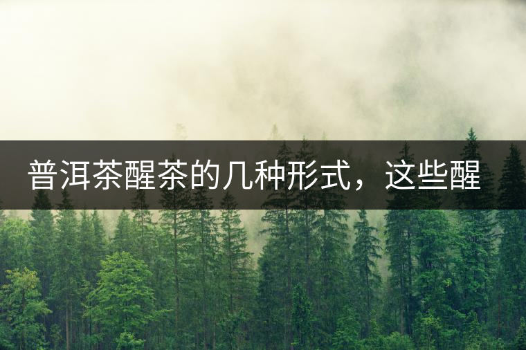 普洱茶醒茶的幾種形式，這些醒茶方法你都會(huì)了嗎？