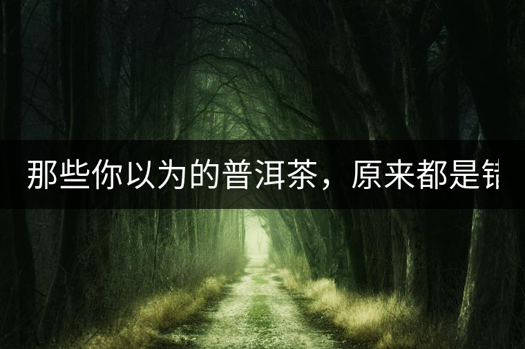 那些你以為的普洱茶，原來都是錯的！