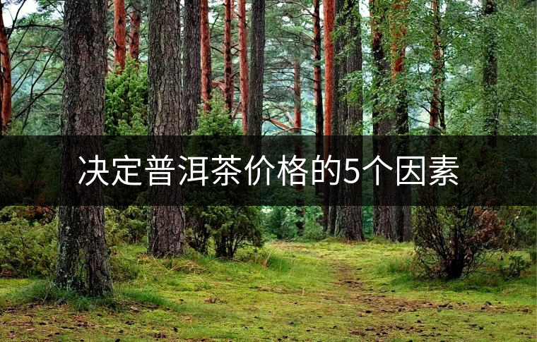 決定普洱茶價格的5個因素