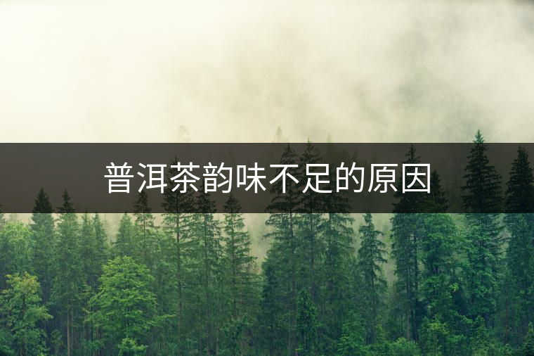 普洱茶韻味不足的原因 普洱茶韻味不足的原因