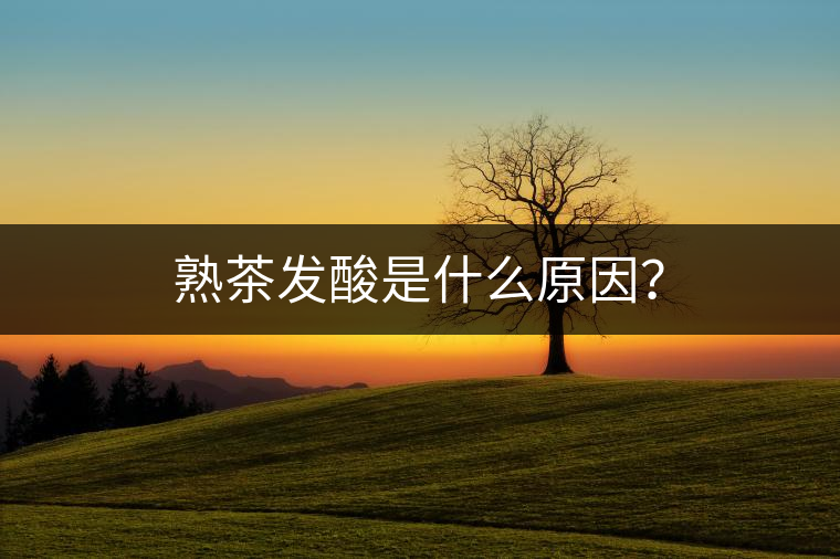 熟茶發(fā)酸是什么原因？