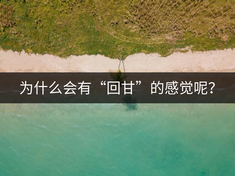 為什么會有“回甘”的感覺呢？