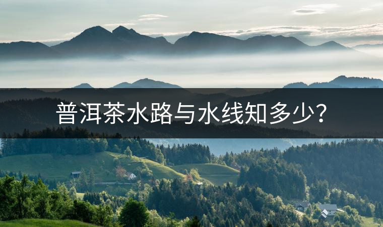 普洱茶水路與水線知多少？