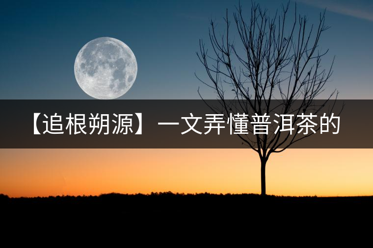 【追根朔源】一文弄懂普洱茶的定義和歸類 【追根朔源】一文弄懂普洱茶的定義和歸類