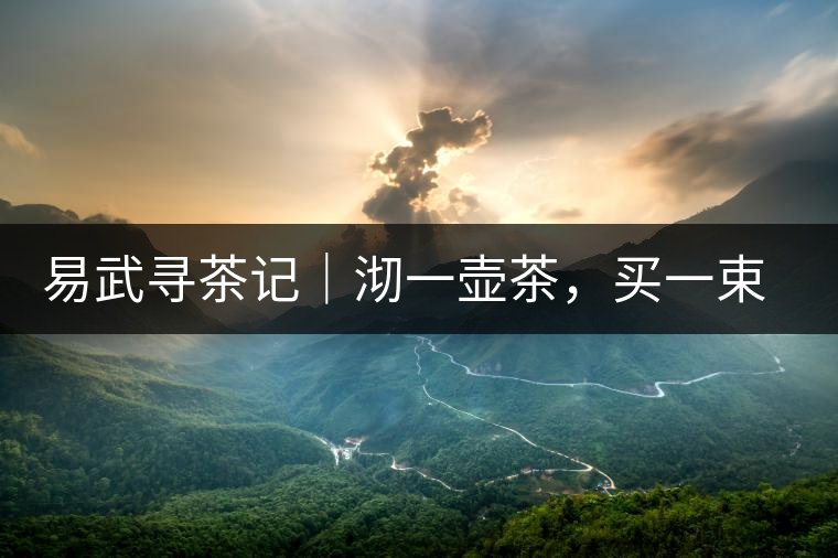 易武尋茶記｜沏一壺茶，買一束花，享半日余暇