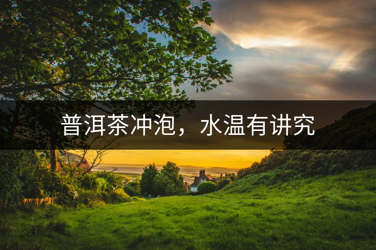 普洱茶沖泡，水溫有講究