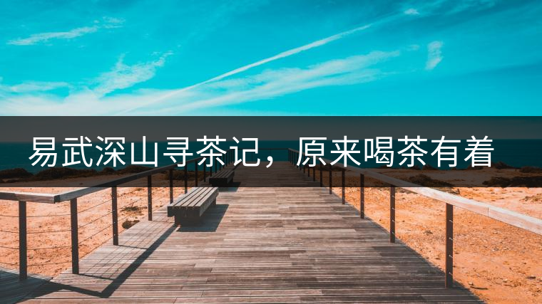 易武深山尋茶記，原來喝茶有著這么多誤區(qū)