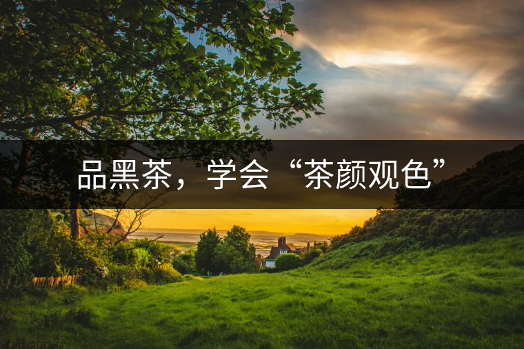 品黑茶，學會“茶顏觀色”