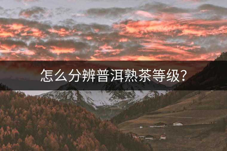 怎么分辨普洱熟茶等級(jí)？