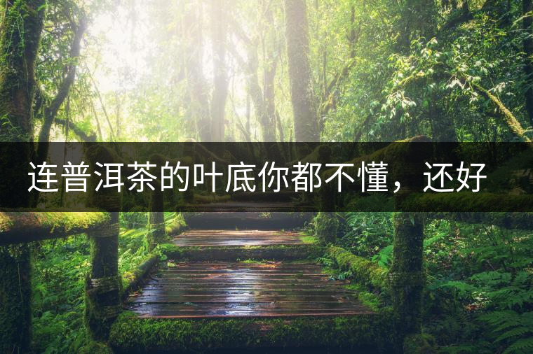 連普洱茶的葉底你都不懂,還好意思說(shuō)懂茶么? 連普洱茶的葉底你都不懂,還好意思說(shuō)懂茶么?