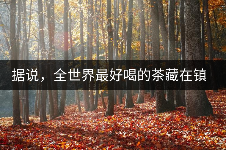 據(jù)說(shuō)，全世界最好喝的茶藏在鎮(zhèn)沅