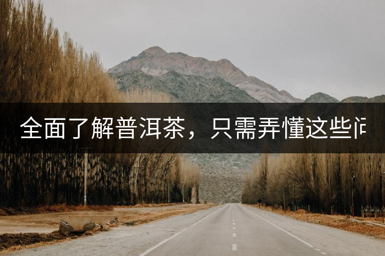 全面了解普洱茶，只需弄懂這些問題！