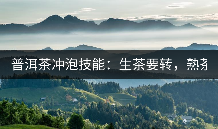 普洱茶沖泡技能：生茶要轉(zhuǎn)，熟茶要柔！