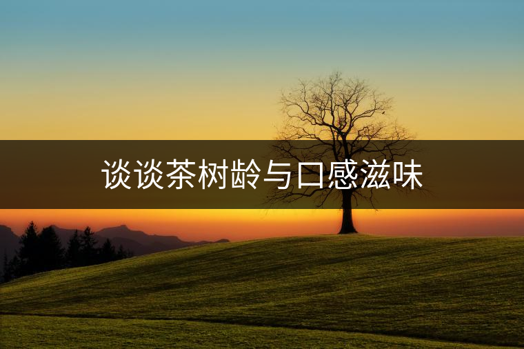 談?wù)劜铇?shù)齡與口感滋味