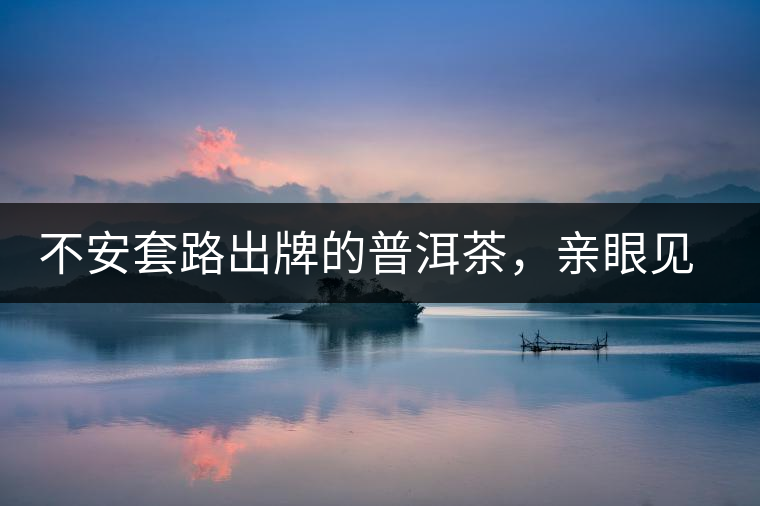 不安套路出牌的普洱茶，親眼見證完美的逆襲之路
