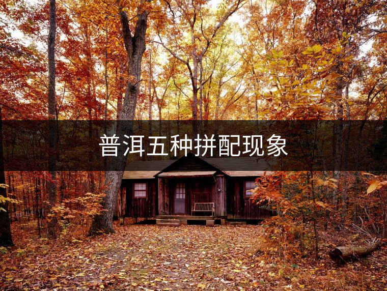 普洱五種拼配現(xiàn)象 普洱五種拼配現(xiàn)象