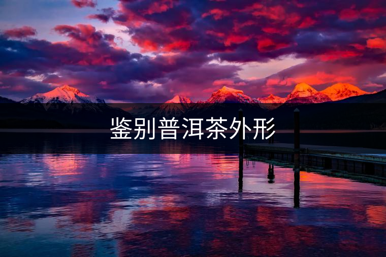 鑒別普洱茶外形 鑒別普洱茶外形