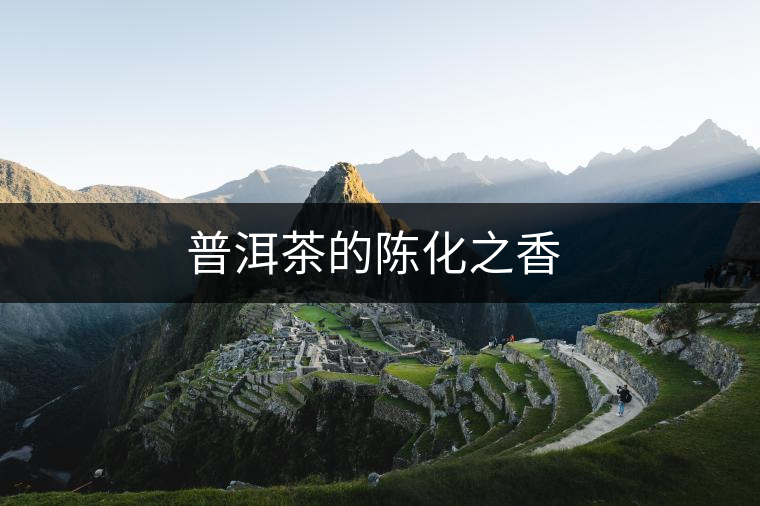 普洱茶的陳化之香 　