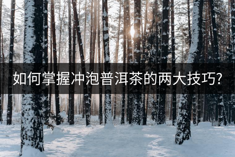 如何掌握沖泡普洱茶的兩大技巧? 如何掌握沖泡普洱茶的兩大技巧?