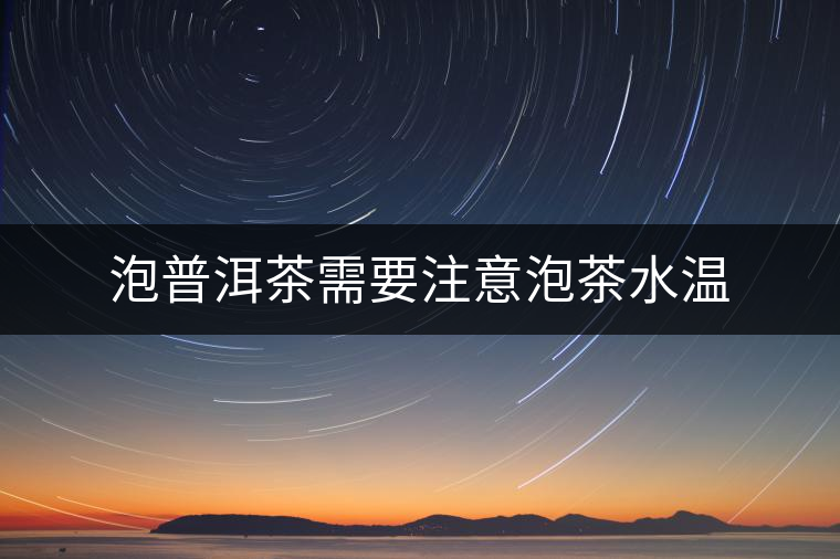 泡普洱茶需要注意泡茶水溫